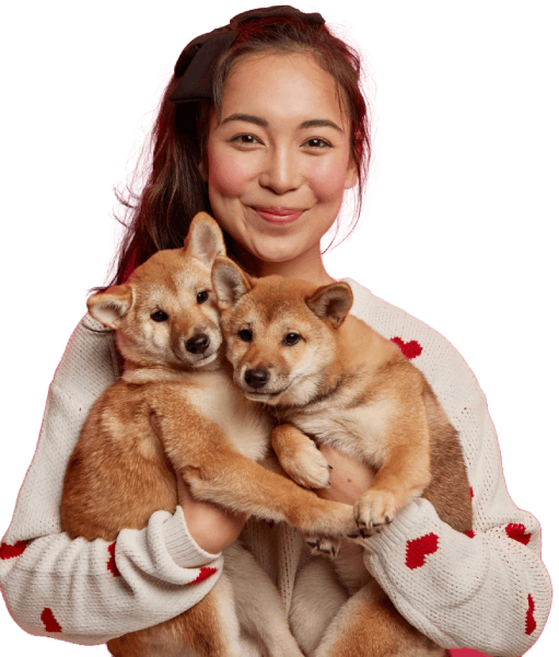 Pet Sitting service dubai